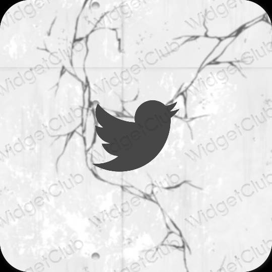 Icônes d'application Twitter esthétiques