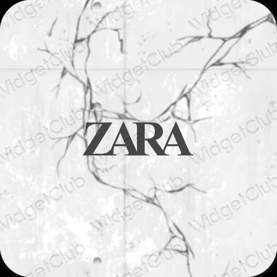 Aesthetic ZARA app icons