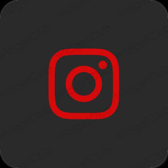 Biểu tượng ứng dụng Instagram thẩm mỹ