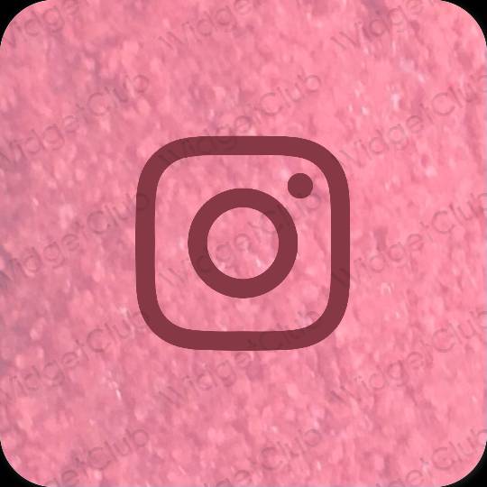 Biểu tượng ứng dụng Instagram thẩm mỹ