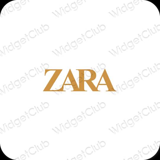 Aesthetic ZARA app icons