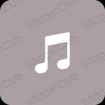 Esthetische Apple Music app-pictogrammen