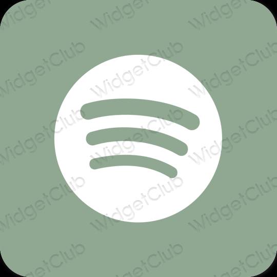 Esthetische Spotify app-pictogrammen