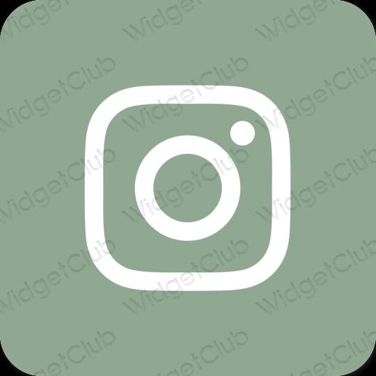 Ästhetische Instagram App-Symbole