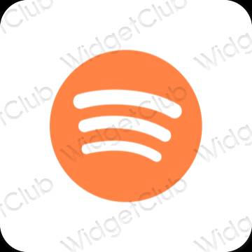 Esthetische Spotify app-pictogrammen