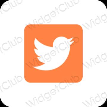 Icônes d'application Twitter esthétiques