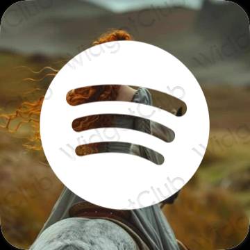 រូបតំណាងកម្មវិធី Spotify សោភ័ណភាព