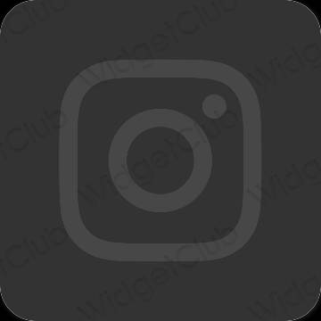រូបតំណាងកម្មវិធី Instagram សោភ័ណភាព
