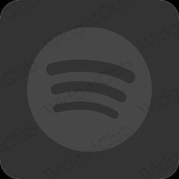 Esthetische Spotify app-pictogrammen