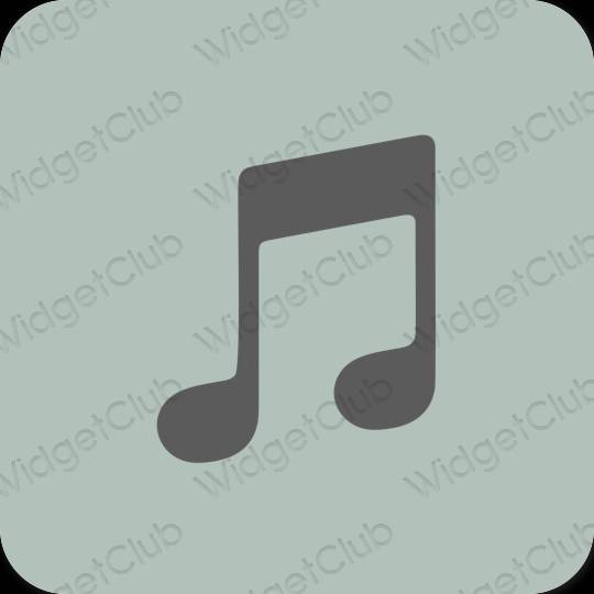 Estético verde Apple Music ícones de aplicativos