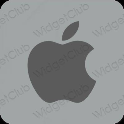 نمادهای برنامه زیباشناسی Apple Store