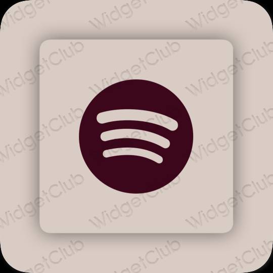 Esthetische Spotify app-pictogrammen