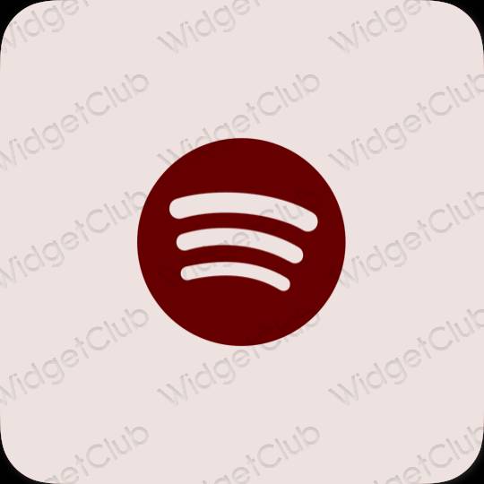 Icônes d'application Spotify esthétiques