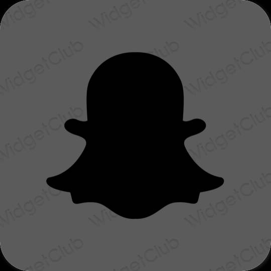 Estético gris snapchat iconos de aplicaciones