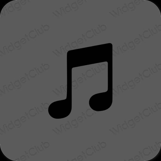 Естетичен сиво Music икони на приложения
