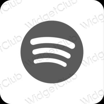 Icônes d'application Spotify esthétiques