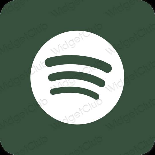 Biểu tượng ứng dụng Spotify thẩm mỹ