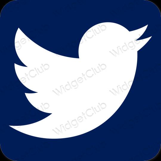 Icônes d'application Twitter esthétiques