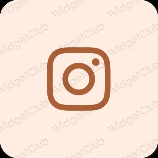 Estetic bej Instagram pictogramele aplicației