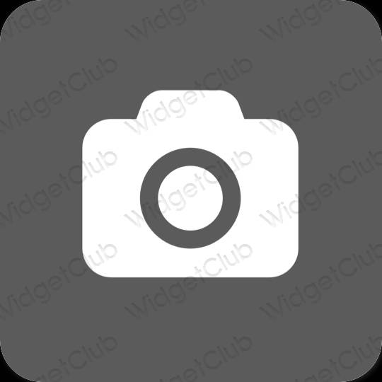 Естетски сива Camera иконе апликација