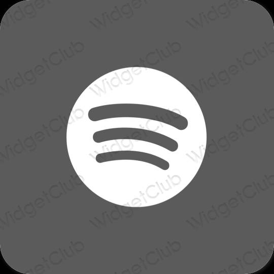 Ästhetisch grau Spotify App-Symbole