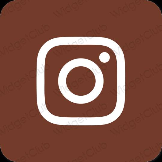 Ästhetische Instagram App-Symbole