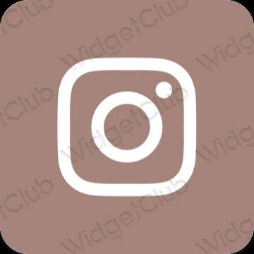 រូបតំណាងកម្មវិធី Instagram សោភ័ណភាព
