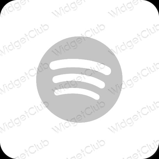 Esthetische Spotify app-pictogrammen