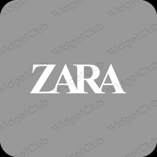 Thẩm mỹ xám ZARA biểu tượng ứng dụng