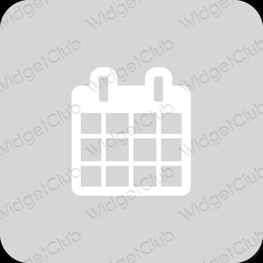 Estetinis pilka Calendar programėlių piktogramos