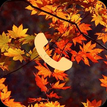 Estetico arancia Phone icone dell'app