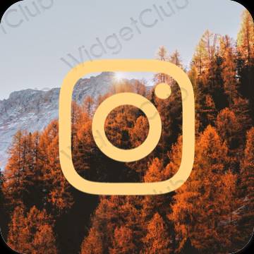 Естетичний коричневий Instagram значки програм