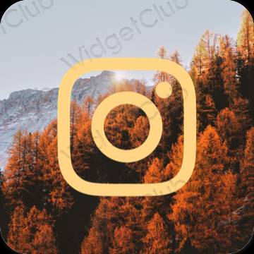 미적인 갈색 Instagram 앱 아이콘
