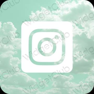 美学Instagram 应用程序图标