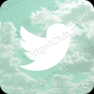 Icônes d'application Twitter esthétiques