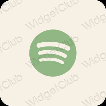 Ästhetische Spotify App-Symbole