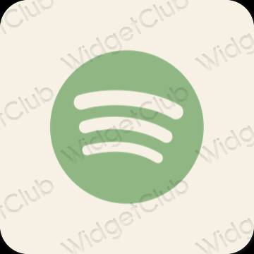 Ästhetische Spotify App-Symbole