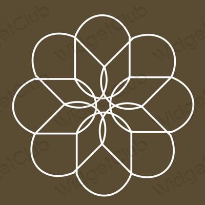 美学Photos 应用程序图标