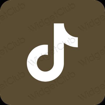 Estética TikTok ícones de aplicativos