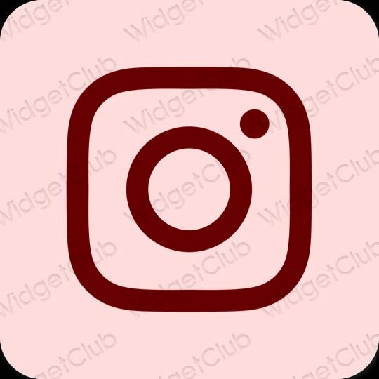 រូបតំណាងកម្មវិធី Instagram សោភ័ណភាព