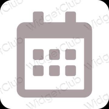 Esthetische Calendar app-pictogrammen