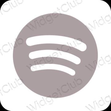 Ästhetische Spotify App-Symbole