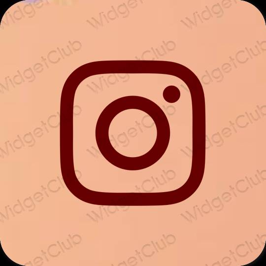 Ästhetische Instagram App-Symbole