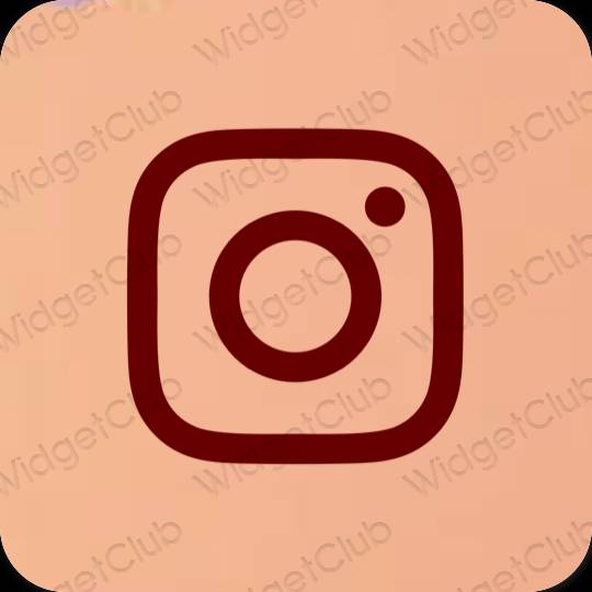 Ästhetische Instagram App-Symbole