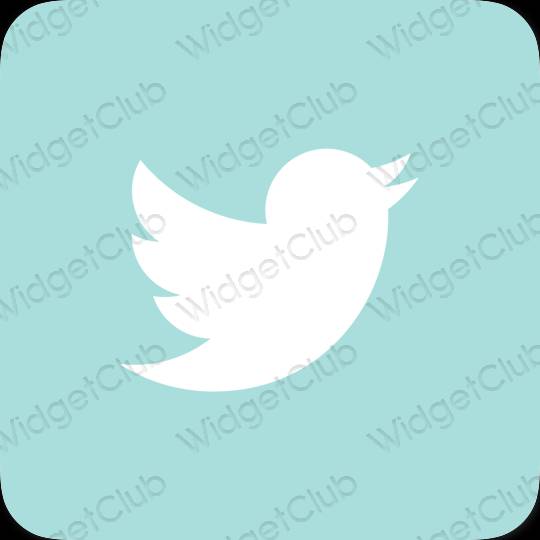 Aesthetic pastel blue Twitter app icons