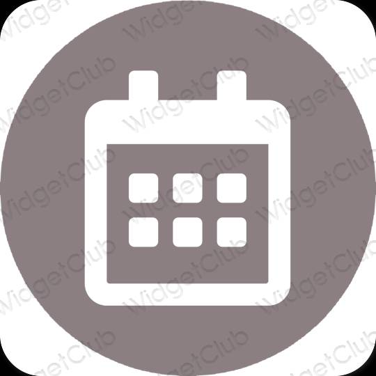 Icônes d'application Calendar esthétiques