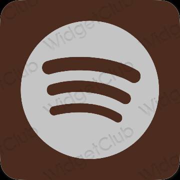 រូបតំណាងកម្មវិធី Spotify សោភ័ណភាព
