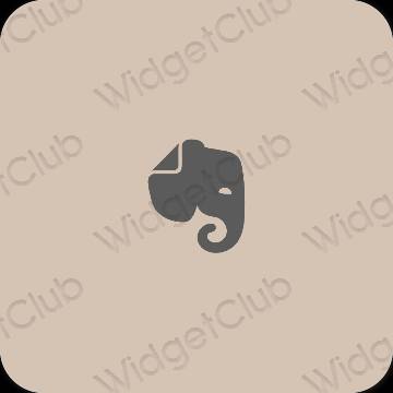 Aesthetic beige Evernote app icons