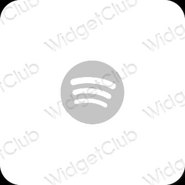 Esthetische Spotify app-pictogrammen