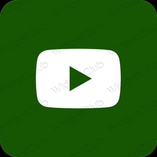 Estetik Youtube proqram nişanları